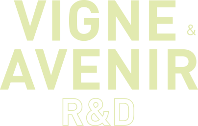 Logo Vigne & Avenir